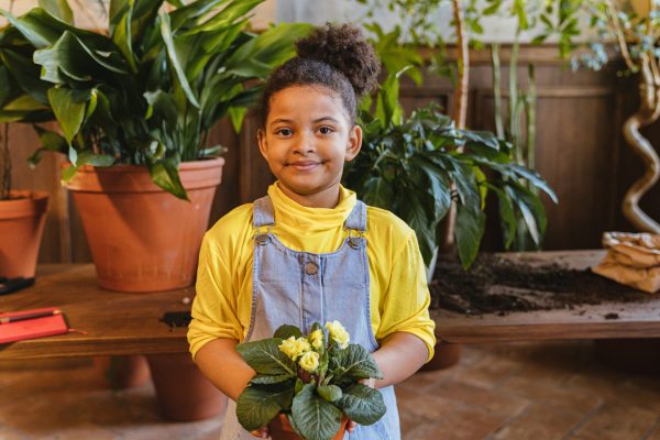 pexels-antoni-shkraba-7342646